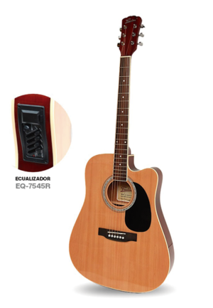 Guitarra Freedom AG-500TCE